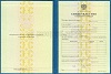 Стоимость Свидетельства о Повышении Квалификации 1997-2018 г. в Ликино-Дулёво и Московской области